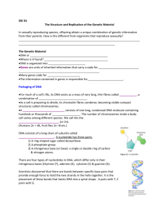 3U SN DNA and Mitosis student note handout0