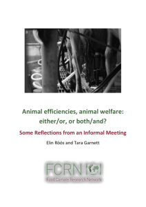 Animal efficiencies, animal welfare