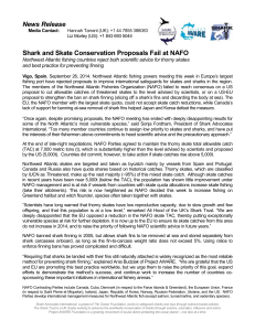 Shark and Skate Conservation Proposals Fail at NAFO