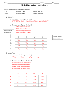 Dihybrid Cross Practice Problems