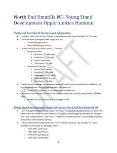 North End UNF Youth Stand Development Handout