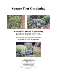 Square Yard Gardening