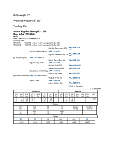 Birth weight 72 Weaning weight (adj) 620 Yearling 964 Arjons Big