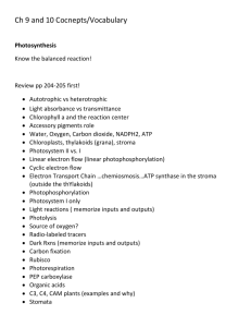 Photosynthesis - Fitzapbioreview