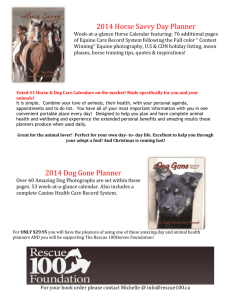 Horse Savvy Planner poster - Rescue 100 Horses Foundation