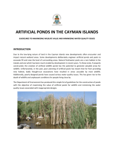 Wildlife Ponds Guidelines - Cayman Department of Environment
