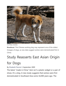 Study Reasserts East Asian Origin for Dogs