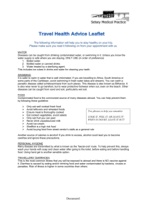 Travel Health Advice Leaflet