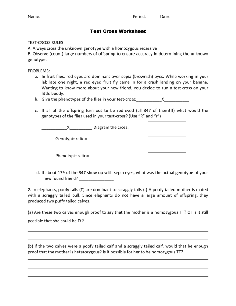 Test Cross Worksheet A