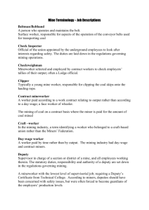 Mine Terminolog-Job descriptions