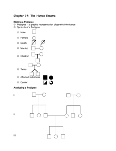 Chapter 13: Genetic Technology