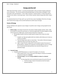 Energy and the Cell