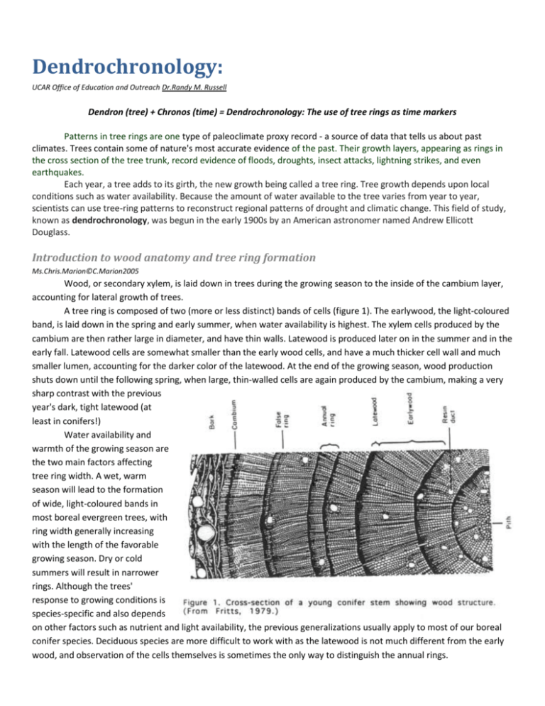 tree-ring-sample