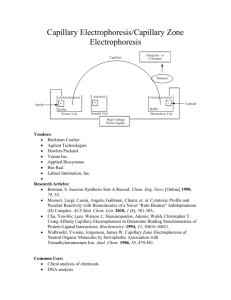 Instrument Profile - Capillary Electrophoresis/Capillary Zone