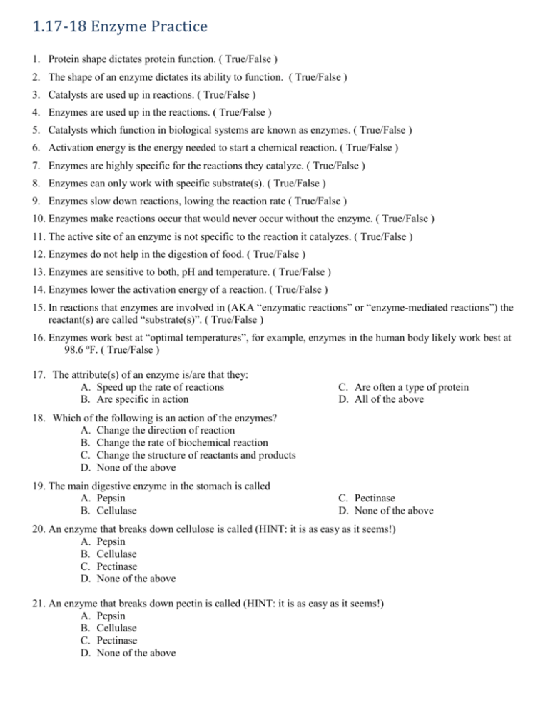 Enzymes Practice