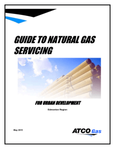 The Guide to Natural Gas Servicing
