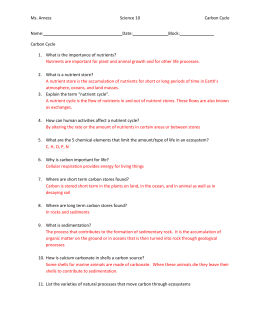 student exploration carbon cycle gizmo answer key