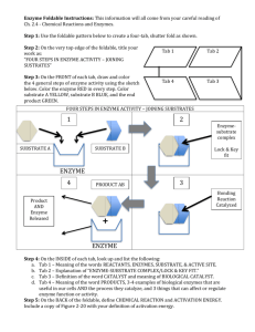 Enzyme Foldable Instructions: This information will all come from