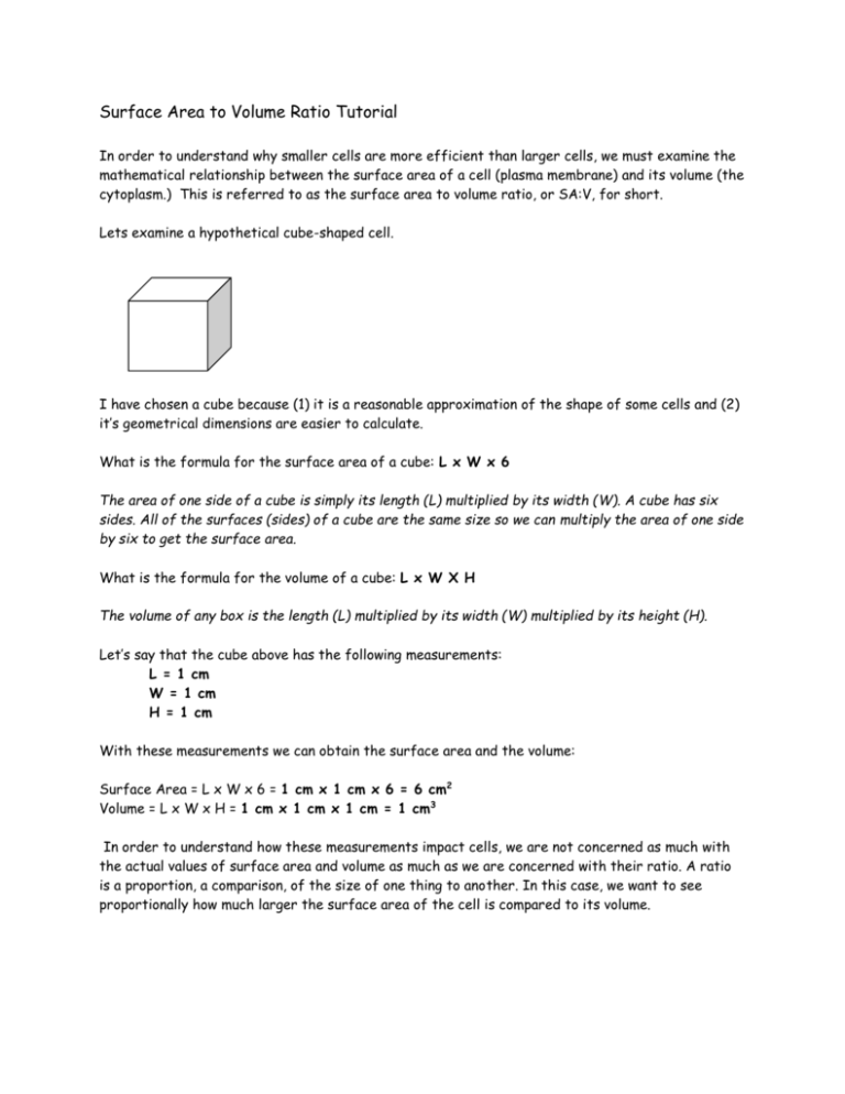 surface-area-to-volume-ratio-tutorial