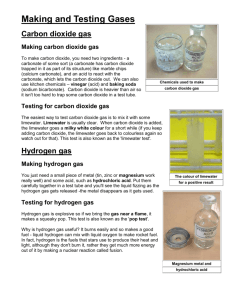 Making and Testing Gases