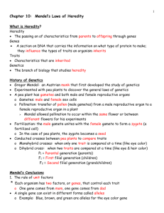 Chapter 10: Mendel`s Laws of Heredity