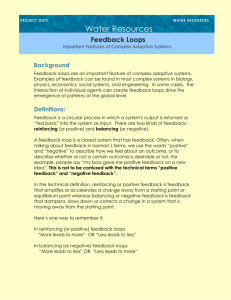 Feedback Loops Discussion