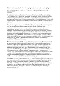 Retinoic acid metabolism in Barrett`s esophagus and