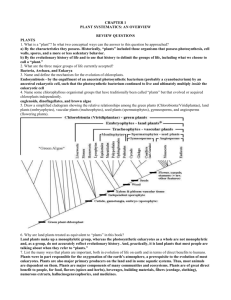 CHAPTER 1 PLANT SYSTEMATICS: AN OVERVIEW REVIEW