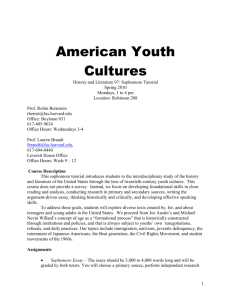 American Youth Cultures