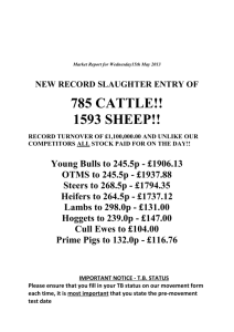 Wk20.13.13.05.13 - Newark Livestock Sales