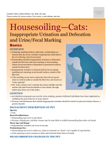 Housesoiling—Cats