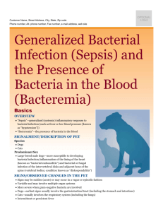 generalized_bacterial_infection