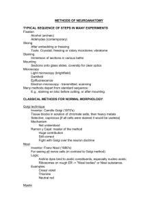 METHODS OF NEUROANATOMY