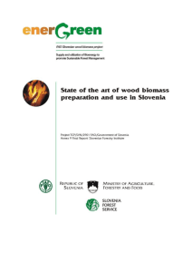 State of the art of wood biomass preparation and use in Slovenia