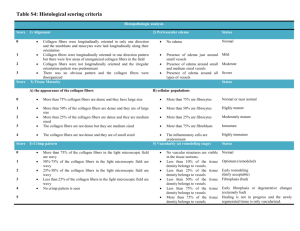 Table S4: Histological scoring criteria Histopathologic analysis
