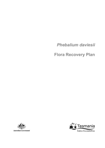 Phebalium daviesii Flora Recovery Plan, Word version (DOC