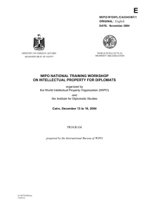WIPO/IP/DIPL/CAI/04/INF/1: Program
