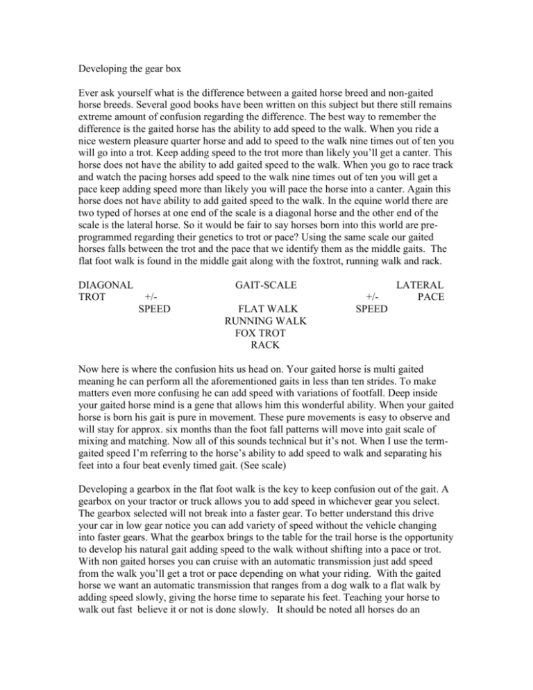 Developing The Gear Box In The Gaited Horse