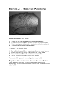 Practical 2: Trilobites and Graptolites