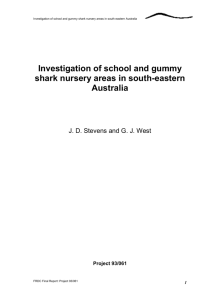 Investigation of school and gummy shark nursery areas in south