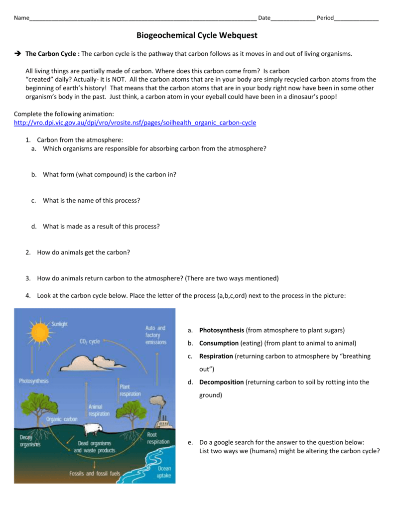 Biogeochemical Cycles Webquest Answer Key Pdf 1 And Mayhew Engineering Thermodynamics Pdf 