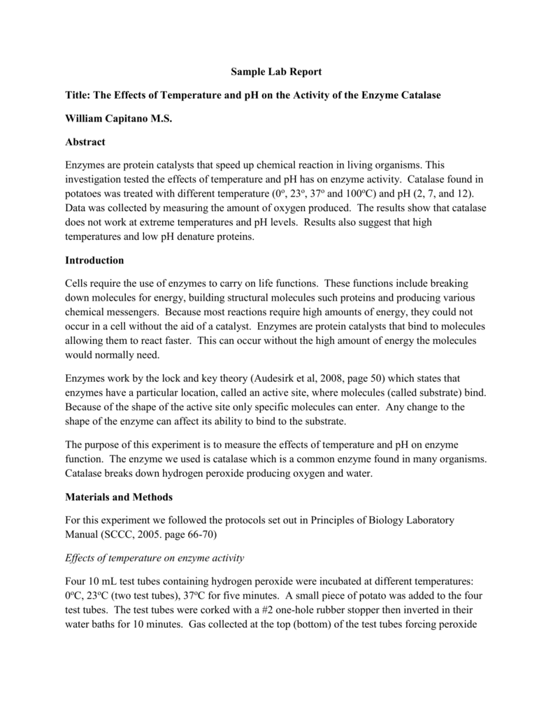 Catalase Enzyme Activity Lab Report