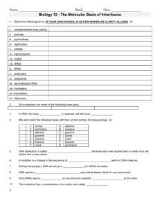 Worksheet – DNA & Protein Synthesis