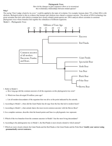 Phylogenetic Trees How do the changes in gene sequences allow