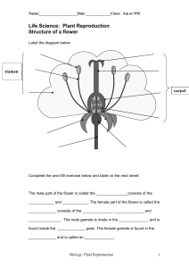 Plant Reproduction Worksheets