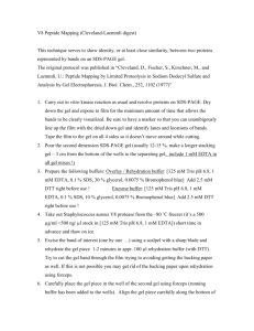 V8 Peptide Mapping