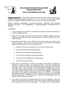 Stallion Service Auction Terms and Conditions initial