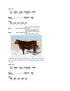 Lot # `9 - K2 Red Angus