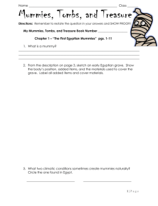 MTT Guided Reading Questions