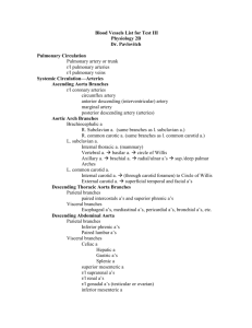 Important Blood Vessels List for Test III